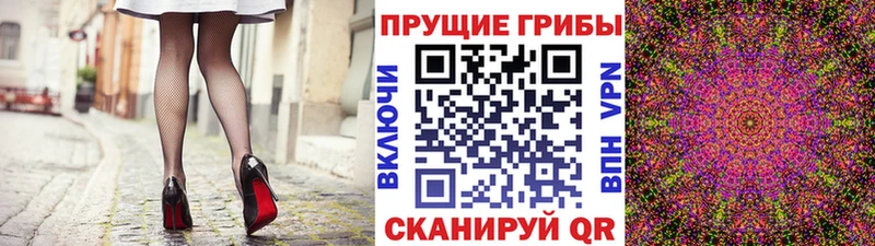 цены наркотик  Петушки  Галлюциногенные грибы Cubensis 